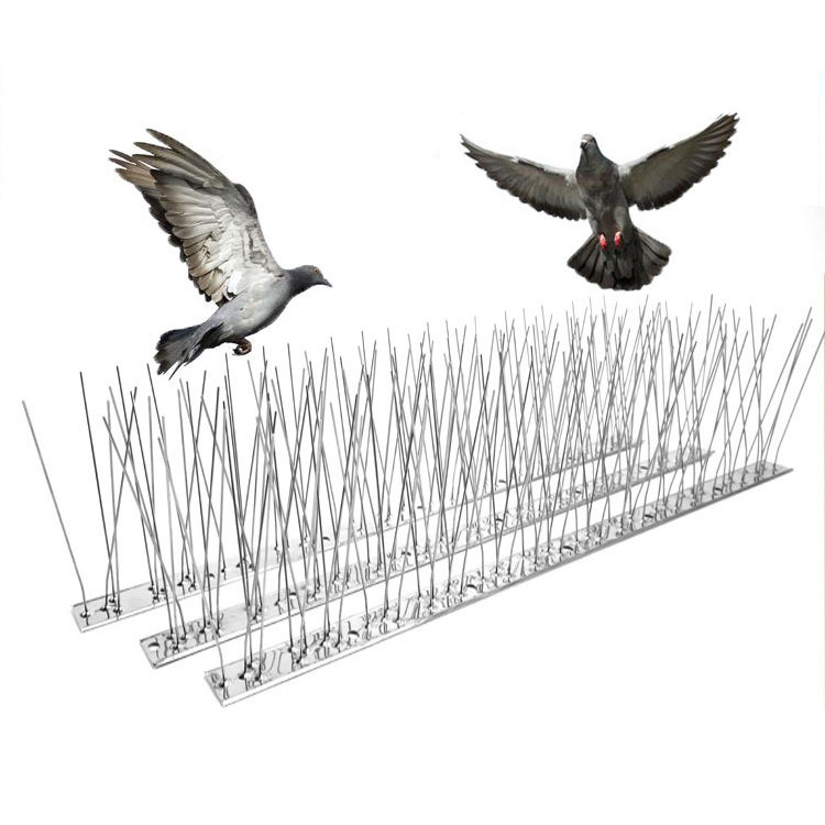 Pest Control  Stainless Steel Deterrent Bird Spikes Transparent Polycarbonate Plastic Anti Flying Bird Spikes Bird