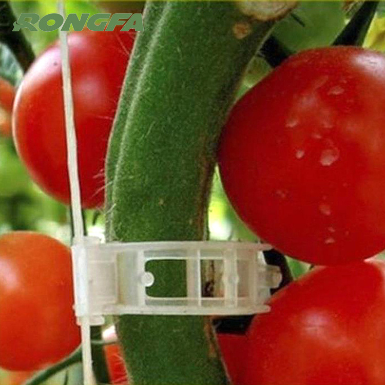 High Quality Tomato Clips Tomato Grafting Clips Greenhouse Small Growing Tomato Planting Galvanized Steel Wire 2.3cm