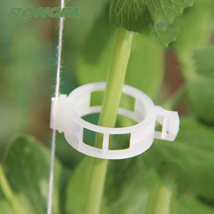 High Quality Tomato Clips Tomato Grafting Clips Greenhouse Small Growing Tomato Planting Galvanized Steel Wire 2.3cm