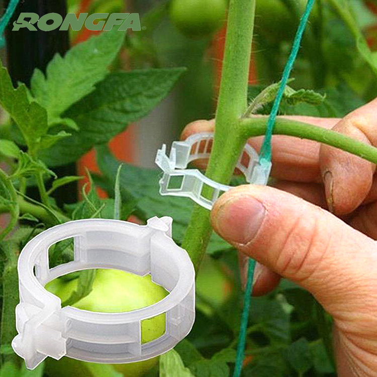 High Quality Tomato Clips Tomato Grafting Clips Greenhouse Small Growing Tomato Planting Galvanized Steel Wire 2.3cm