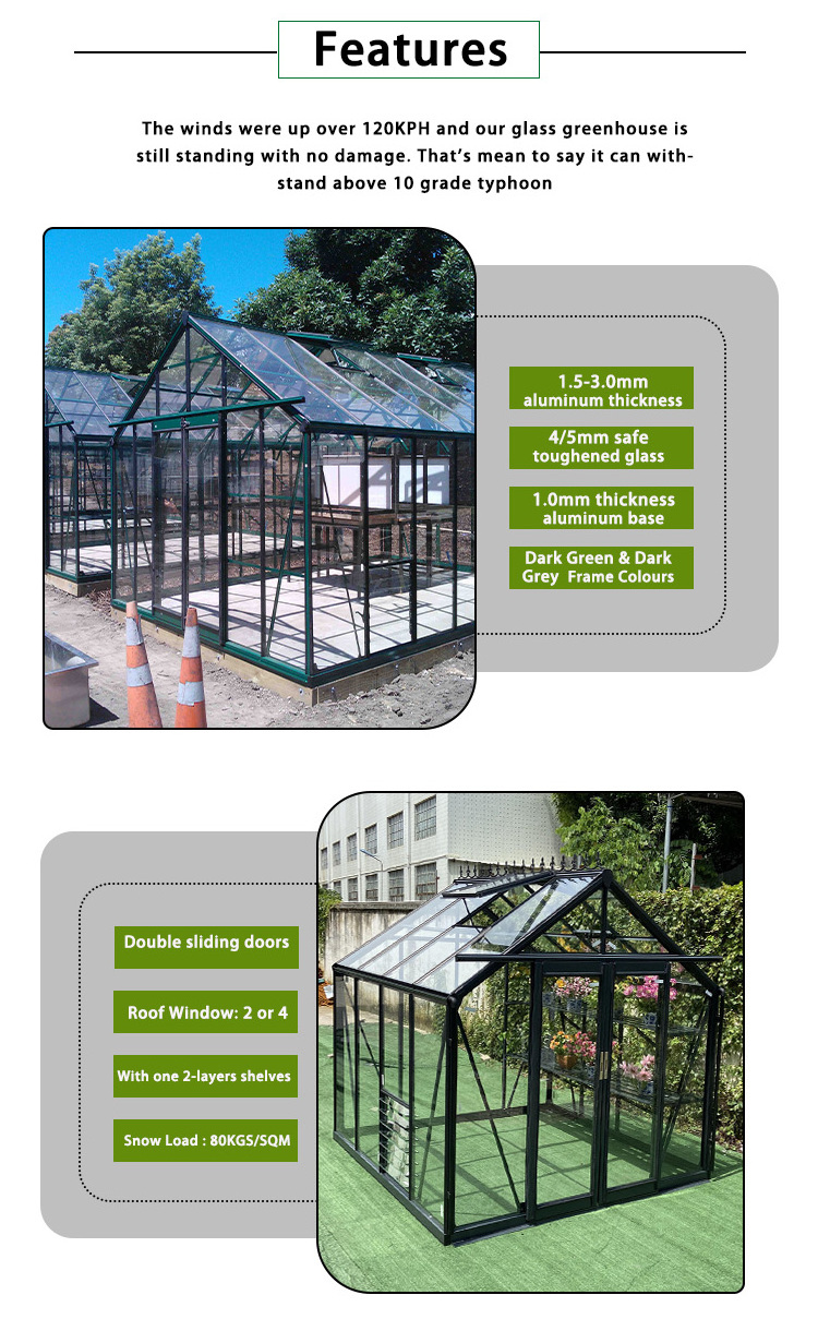 Victorian commercial glass garden greenhouse backyard mini glasshouse outdoor metal aluminum frame green house used for sale