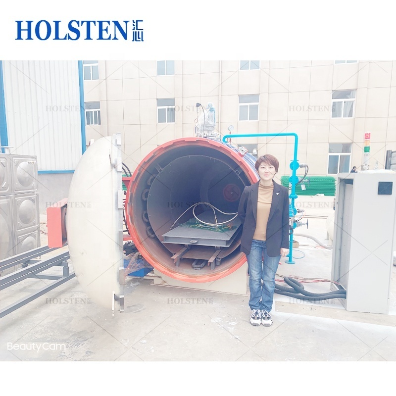 Industrial composite autoclave machine large autoclave price for sale