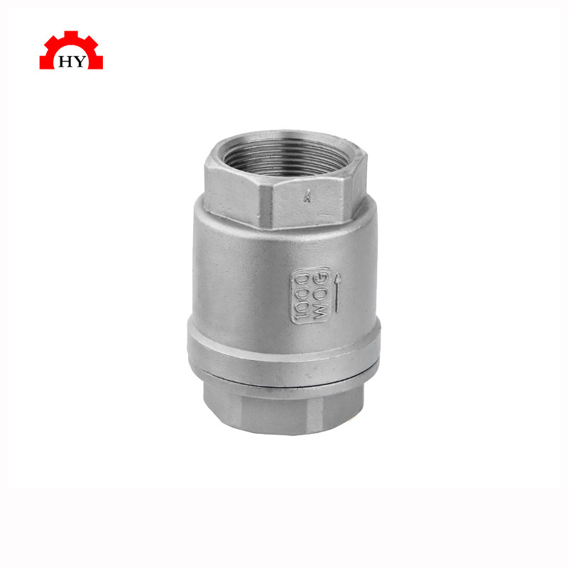 Zhejiang factory low-cost custom stainless steel BSPT swing check valve, 1 inch swing check valve, vertical check valve