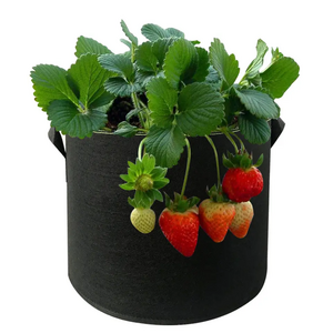 3/5/7/10 20 Gallon Aeration Cheap Wholesale Smart Nursery Pots 3 Gal Felt Growing Bags Fabric Pots For Plant