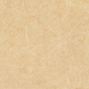 600X600mm Foshan Ceramic Floor Tile Porcelain Floor Tile