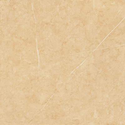 600X600mm Foshan Ceramic Floor Tile Porcelain Floor Tile