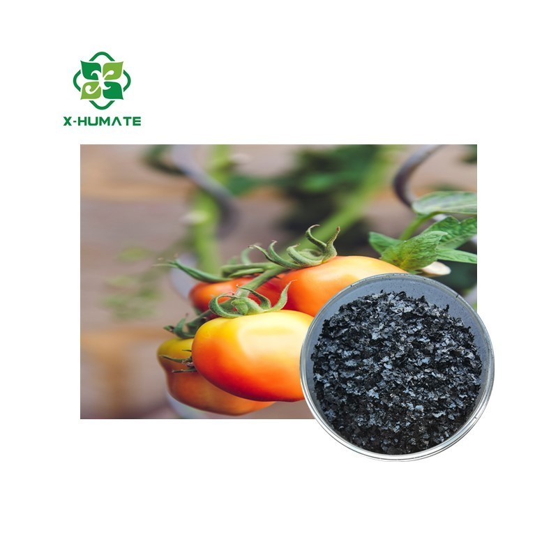 X-humate high natural10%min Potassium Humate 10% Potassium 100% Soluble plant stimulator