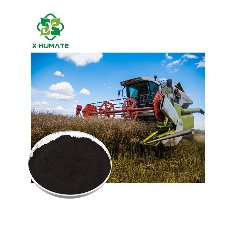 X-humate Soil conditioner Humic Acid 50 60 70 Powder Natural humate fertilizer