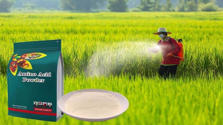 X-Humate Amino Acid Organic Fertilizer Plant Growth Stimulants