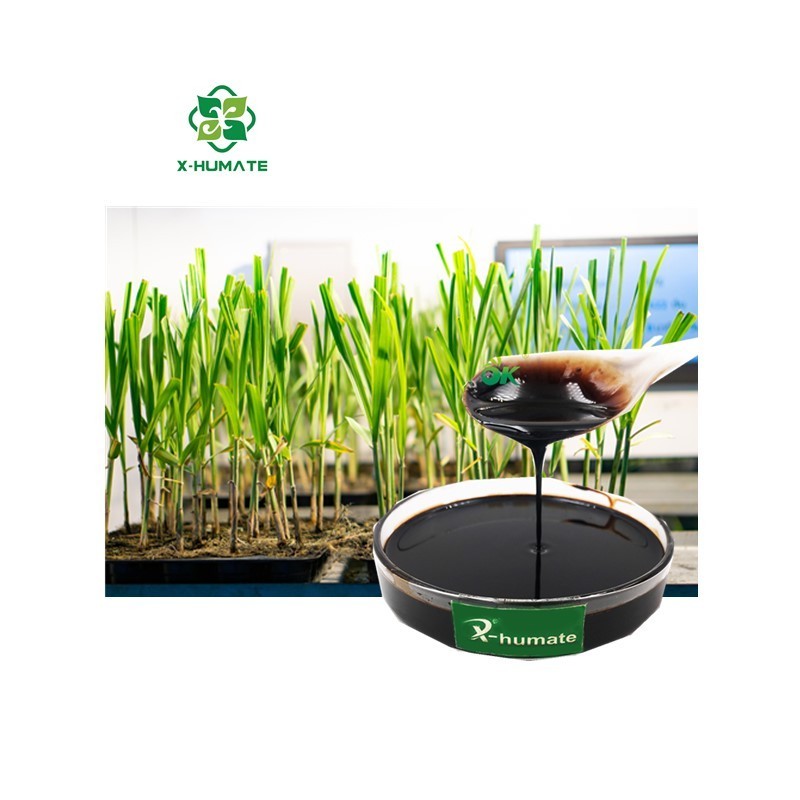 X-humate Plant Growth Regulator 12% Humic Acid liquid Organic Fertilizer