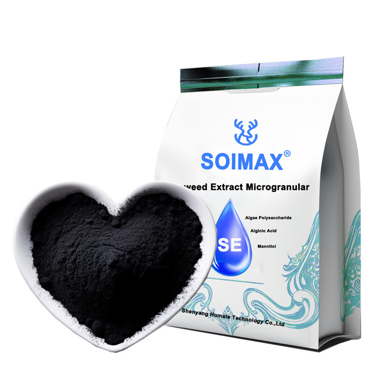 Soimax Ascophyllum Nodosum Source Biological Enzymolysis Tech Stimulate Plant Growth Seaweed Extract Microgranular