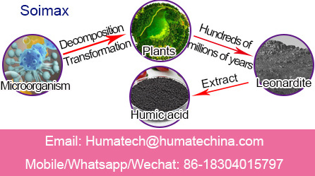 Soimax SH9002 A/B Soil Conditioners Leonardite Concentrated 100% Organic Humic Acid Powder Fertilizer