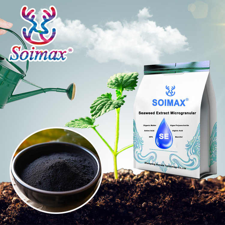 Soimax Ascophyllum Nodosum Source Biological Enzymolysis Tech Stimulate Plant Growth Seaweed Extract Microgranular