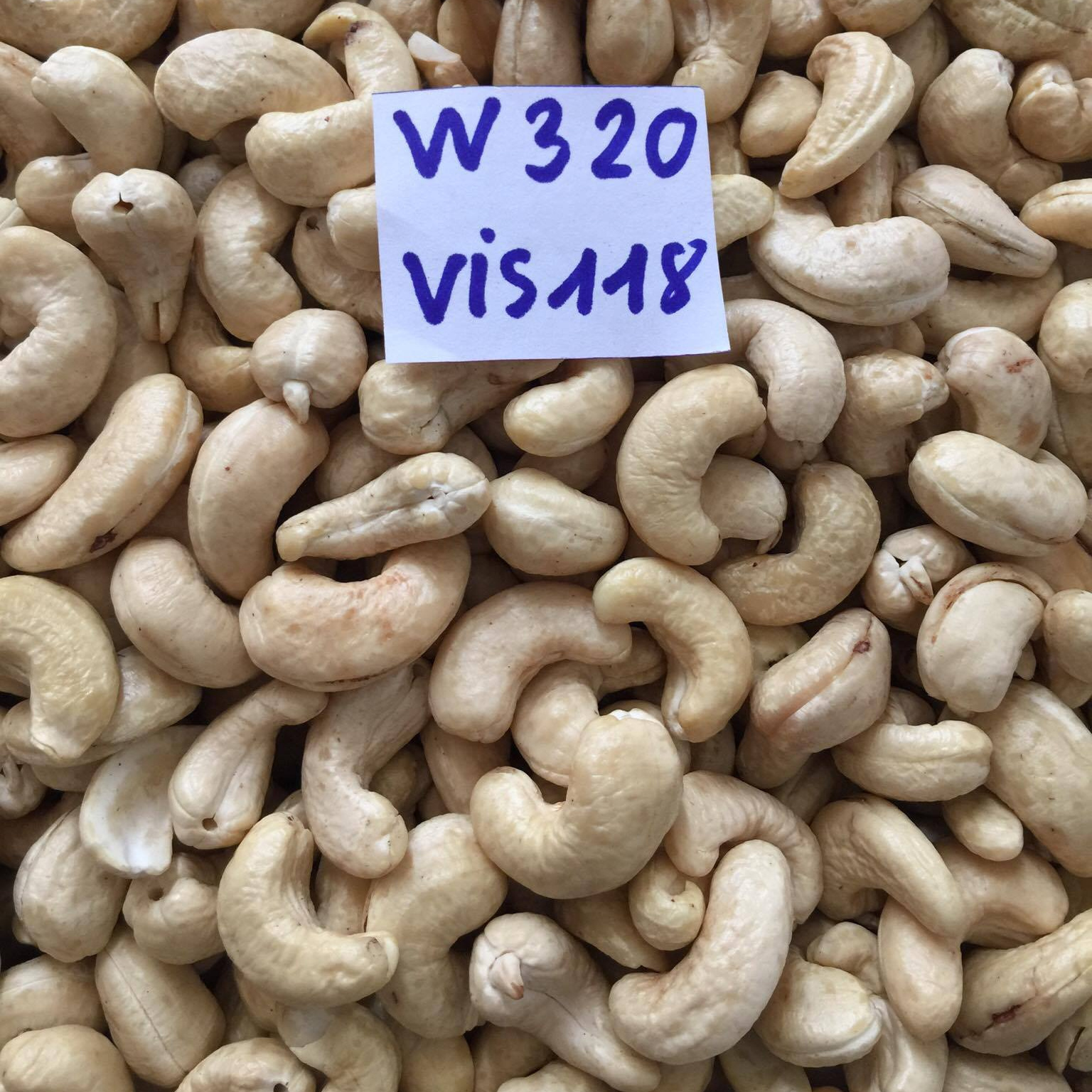 Raw cashew organic cashew nuts kernel ROASTED CASHEW NUT GOOD PRICE FROM VISIMEX