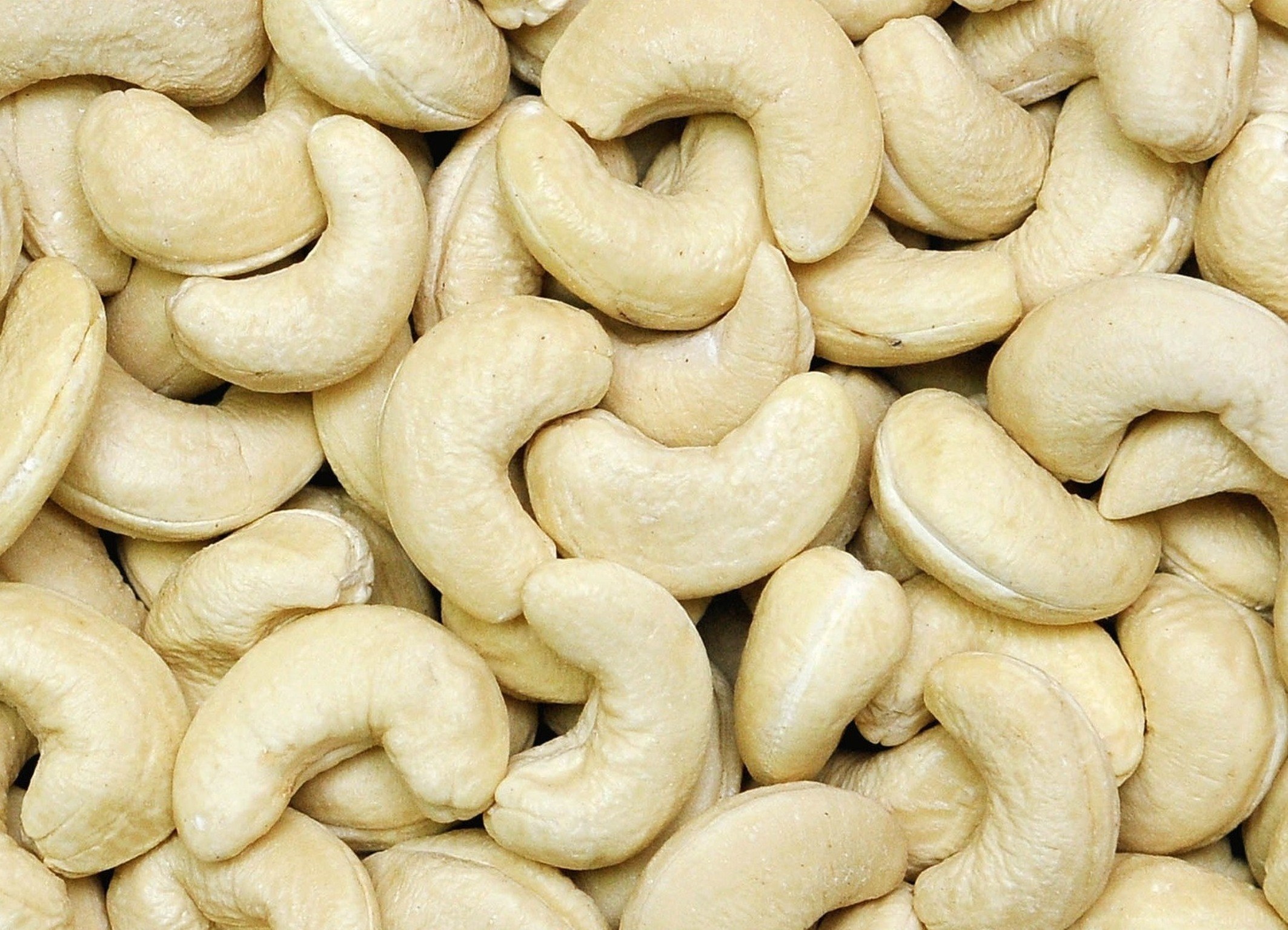 Raw cashew organic cashew nuts kernel ROASTED CASHEW NUT GOOD PRICE FROM VISIMEX