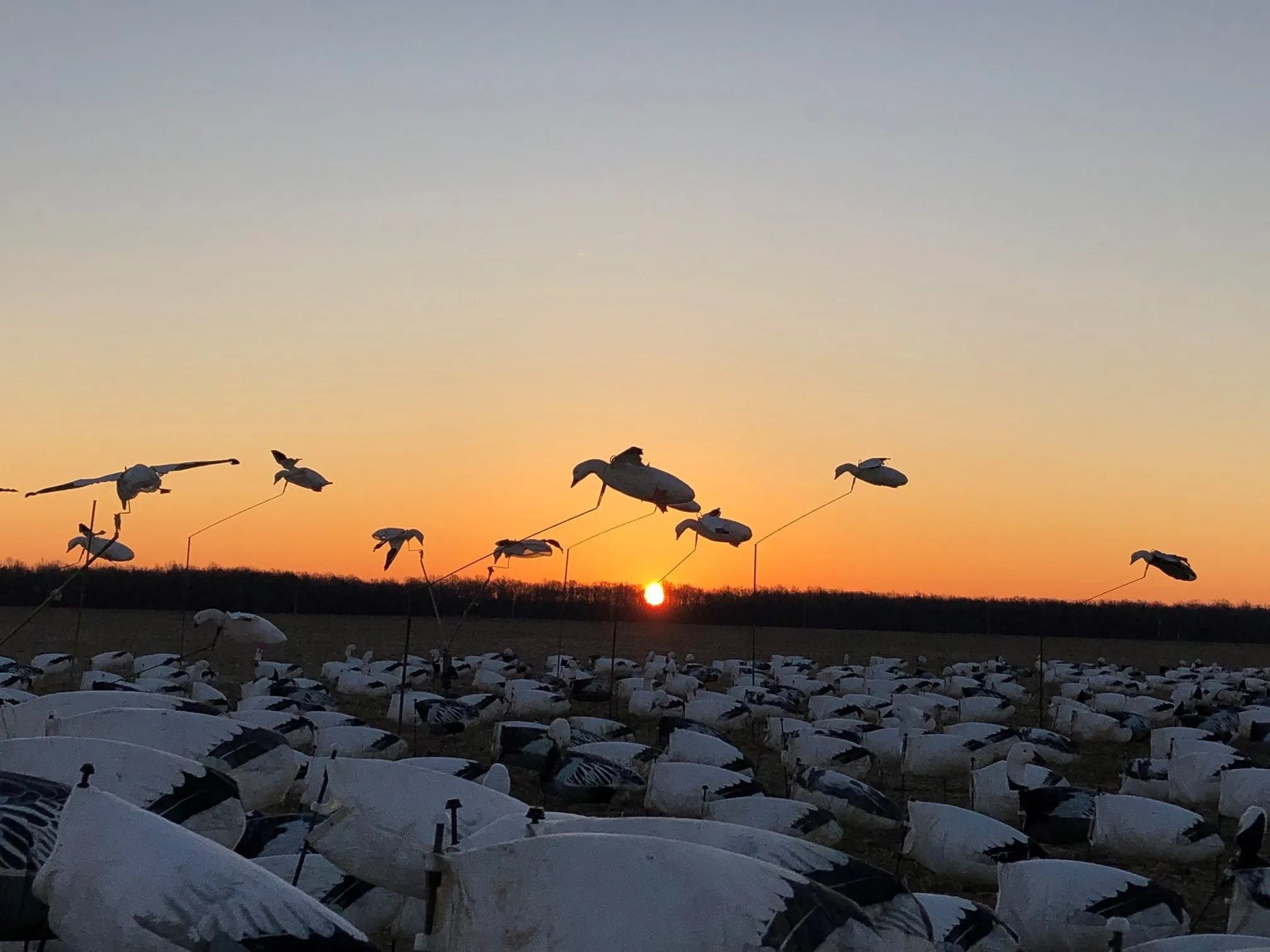 full body goose decoys wholesale snow goose windsock decoys