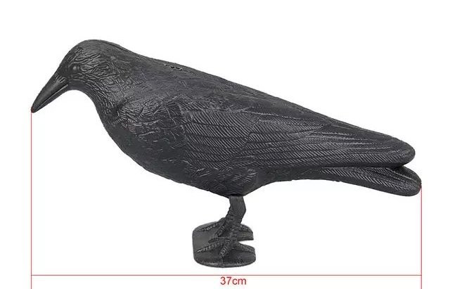 Outdoor hunting decoy Plastic black crow