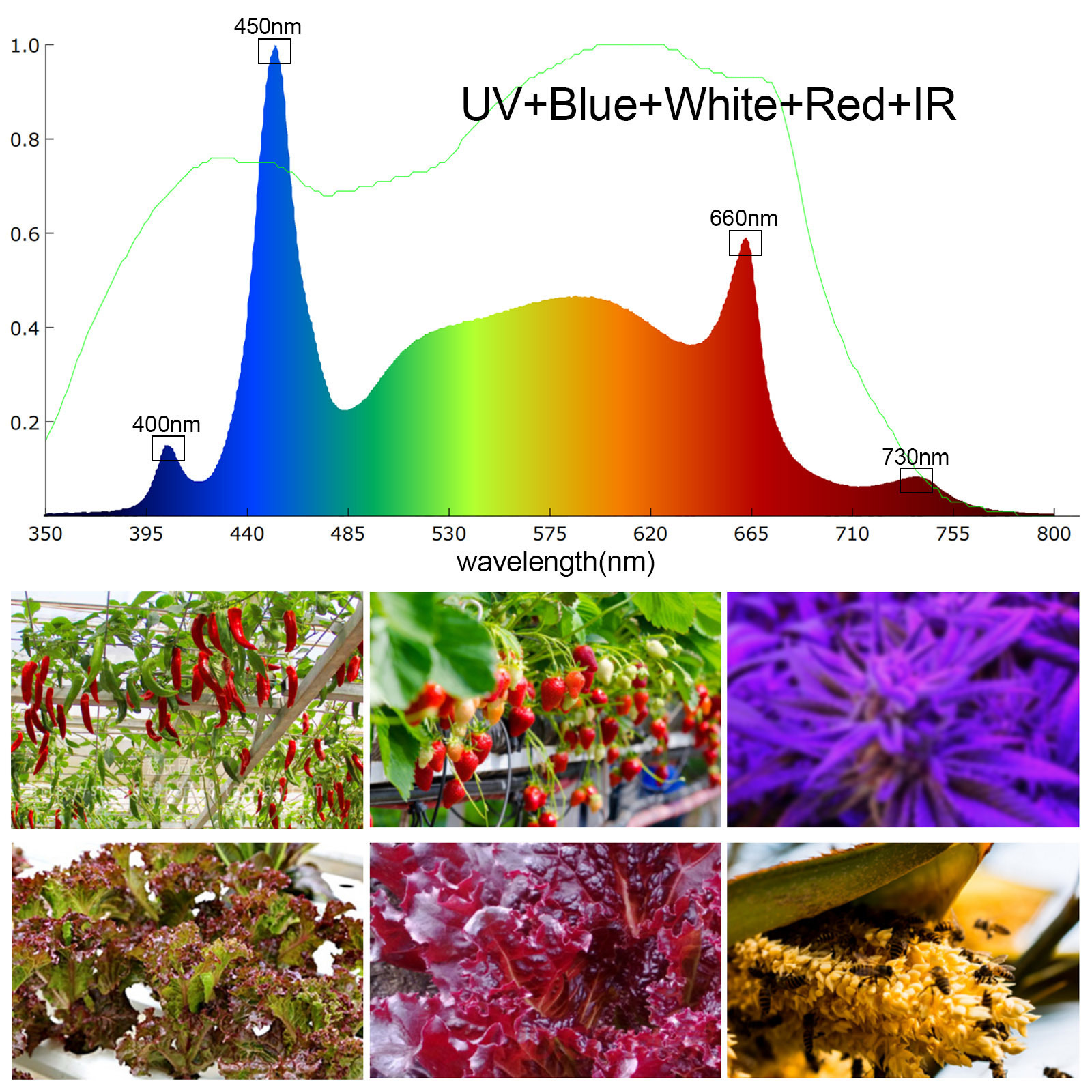 High Ppfd Adjustable Spectrum For Tomatoes, Led Grow Light Reflector Uv With Best Price