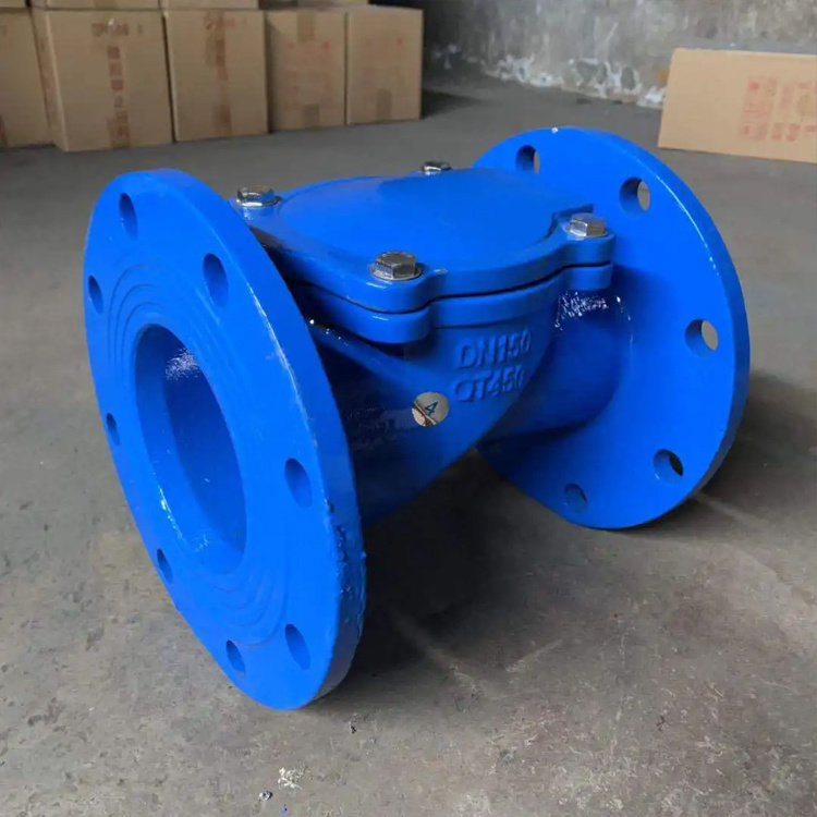 Manual Flange Flapper Swing Rubber Disc Hydraulic Check Valve Price for Water OEM and OBM Supported