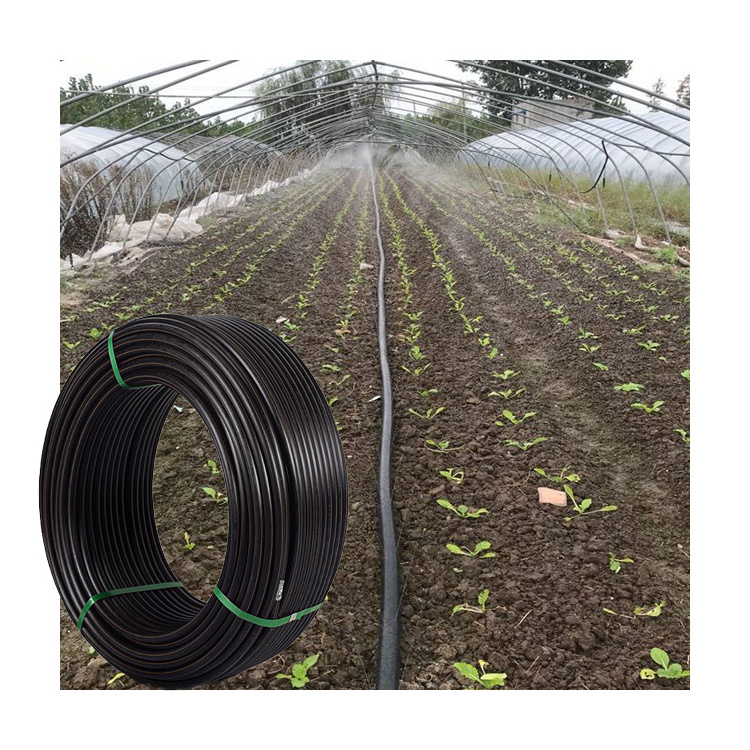 200m One Roll pe Pipe for Agricultural Irrigation Tubes Hdpe Coil Pipe For Cold Water