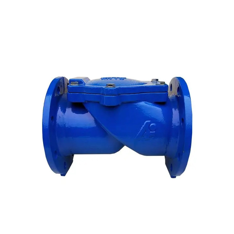 Manual Flange Flapper Swing Rubber Disc Hydraulic Check Valve Price for Water OEM and OBM Supported