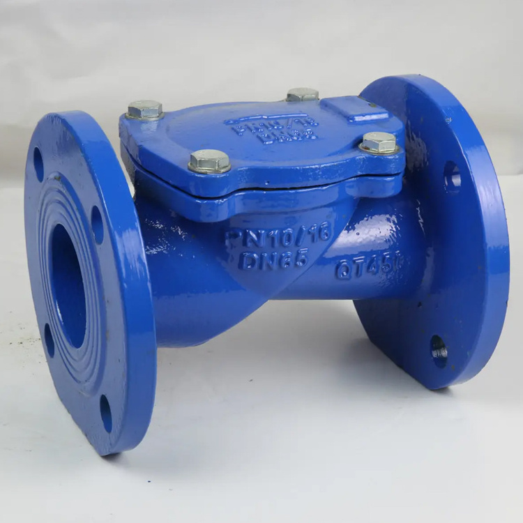 Manual Flange Flapper Swing Rubber Disc Hydraulic Check Valve Price for Water OEM and OBM Supported