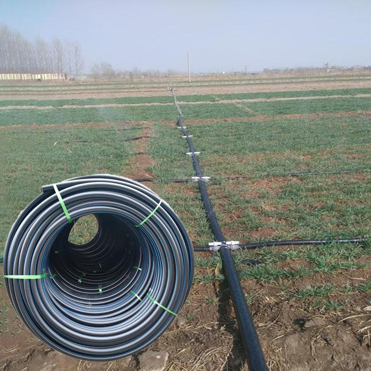 200m One Roll pe Pipe for Agricultural Irrigation Tubes Hdpe Coil Pipe For Cold Water