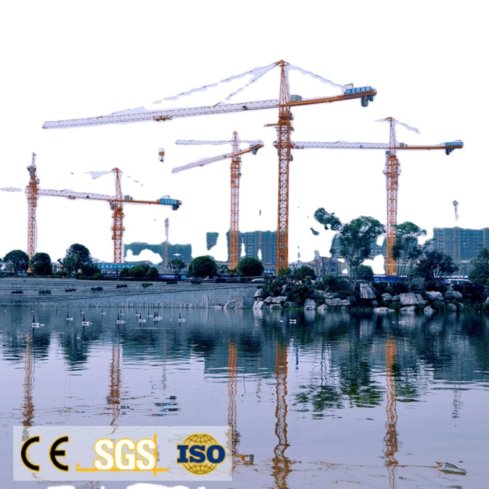 Manufacturer New Stock Tower Crane QTZ100 (5515)