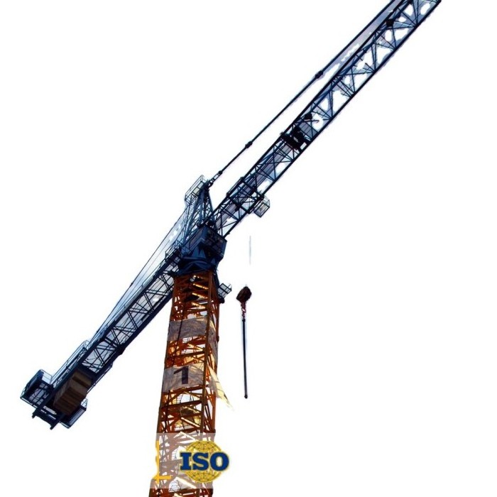 Manufacturer New Stock Tower Crane QTZ100 (5515)