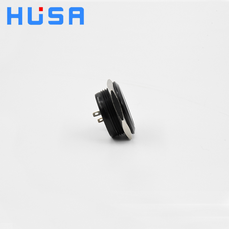 HUSA 22mm Ultrathin Metal 12v 24v 110v 220v Short Touch Tact Switch Momentary Reset Waterproof 1NO 2Pin Push Button Switch