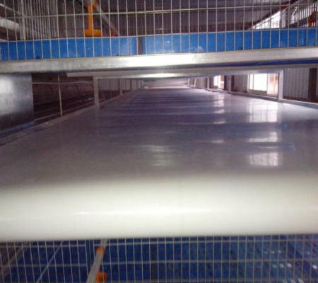 poutry Manure belt/conveyor belt for layer/broiler/chicken/battery /rabbit/duck cage (Manure belt-019)