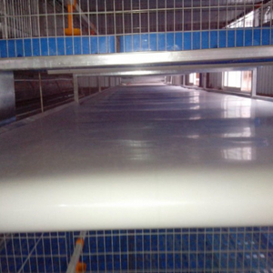 poutry Manure belt/conveyor belt for layer/broiler/chicken/battery /rabbit/duck cage (Manure belt-019)