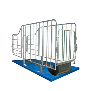 Sow limited crate/ Gestation/stall/pen(Crate-C)