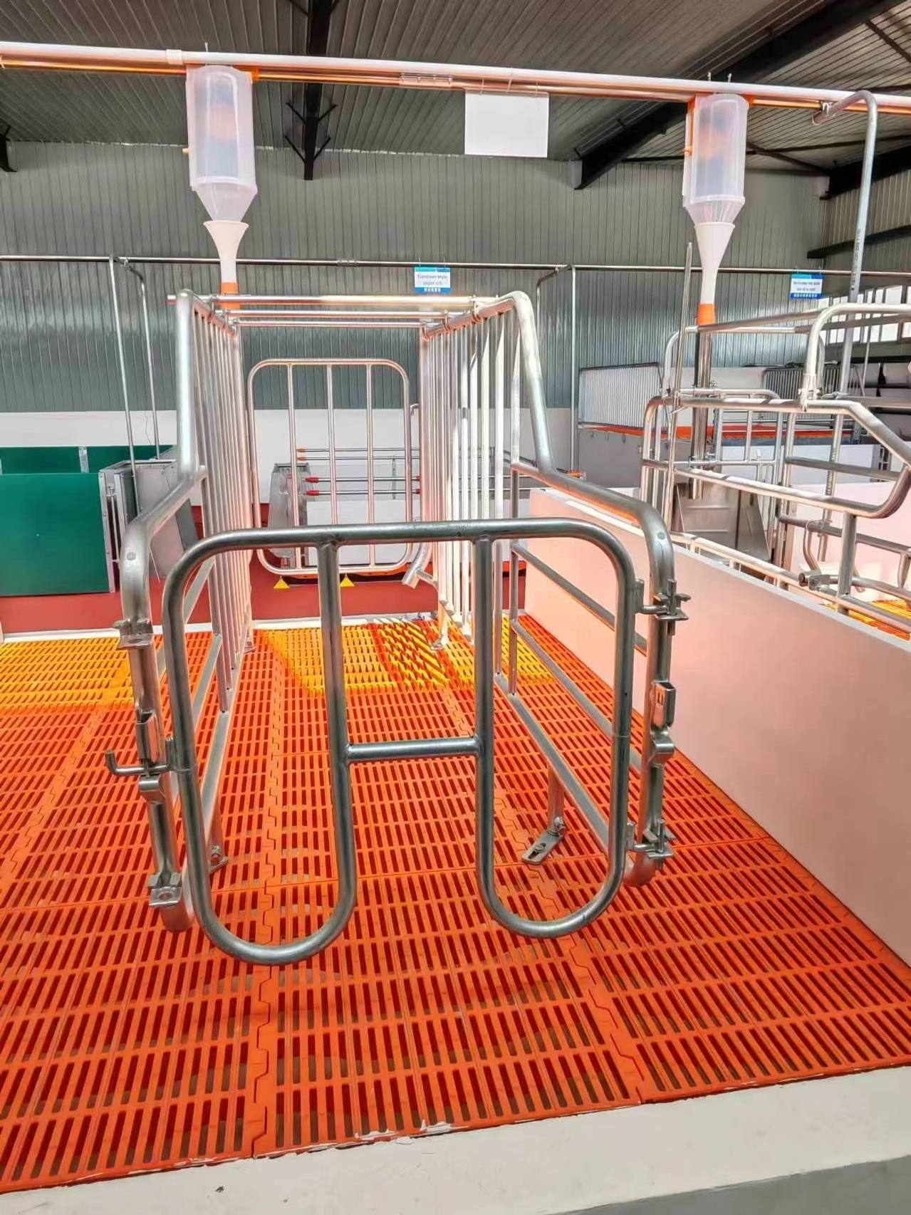 Juchen custom new pig pregnancy pen, pig insemination stall, pig breeding hot selling pen