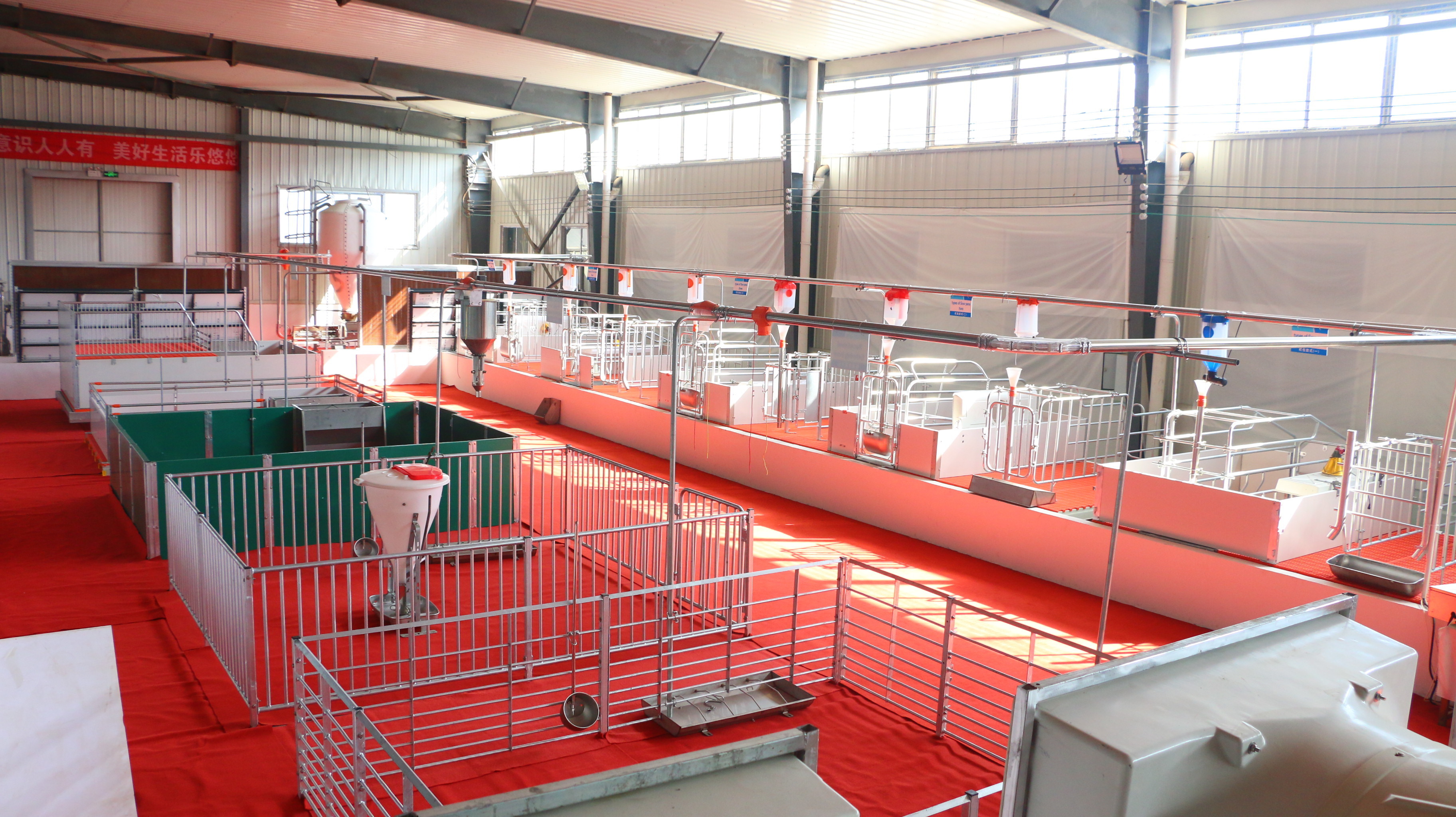 Hot dip galvanized pipe fattening pen finishing animal stainless steel trough pig farm