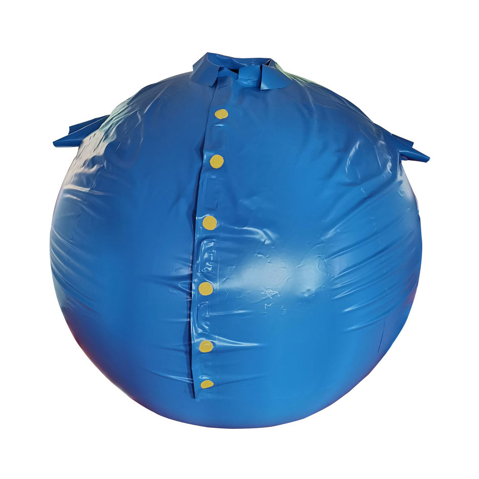 Factory Price  Inflatable PVC Ball Game Suit Inflatable Blueberry Suit