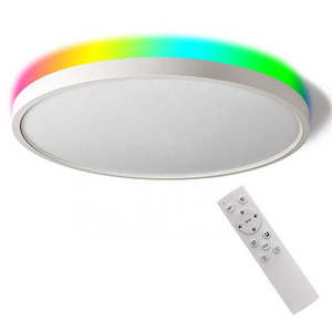 RGB Night Light  Round Thin Ceiling Light Dimmable with Remote Control ,RGB Color Adjustment for Festival, Living Room, Party