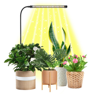 Black Lamp Body 10 Dimmable  LED Grow Lights with telescopic rod & Timer Warm+White Full Spectrum plant grow Light