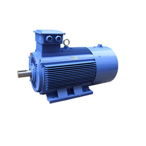 Heavy duty 6 poles 1000RPM Crane Inverter duty three-phase asynchronous electric motors