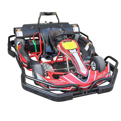 High Speed 4 Stroke Gasoline Go Karts Cheap Petrol Go Kart Car Racing Games Go Karting