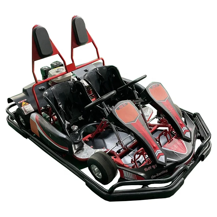 Hot Sale Amusement Rides Engine 200Cc 6.5Hp Gas Powered Two Seat Petrol Racing Go Kart