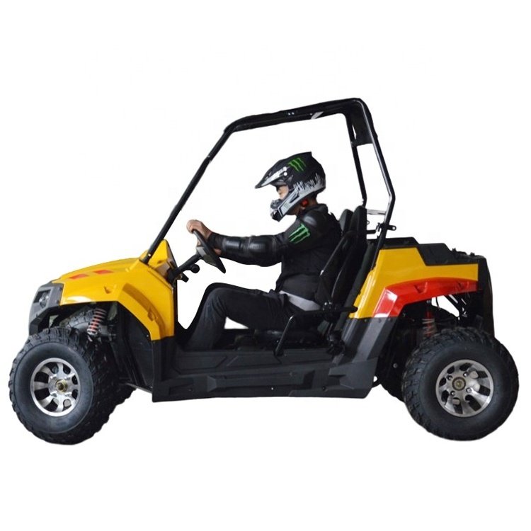 Teenager Go Kart Dune Buggy Go Kart Electric