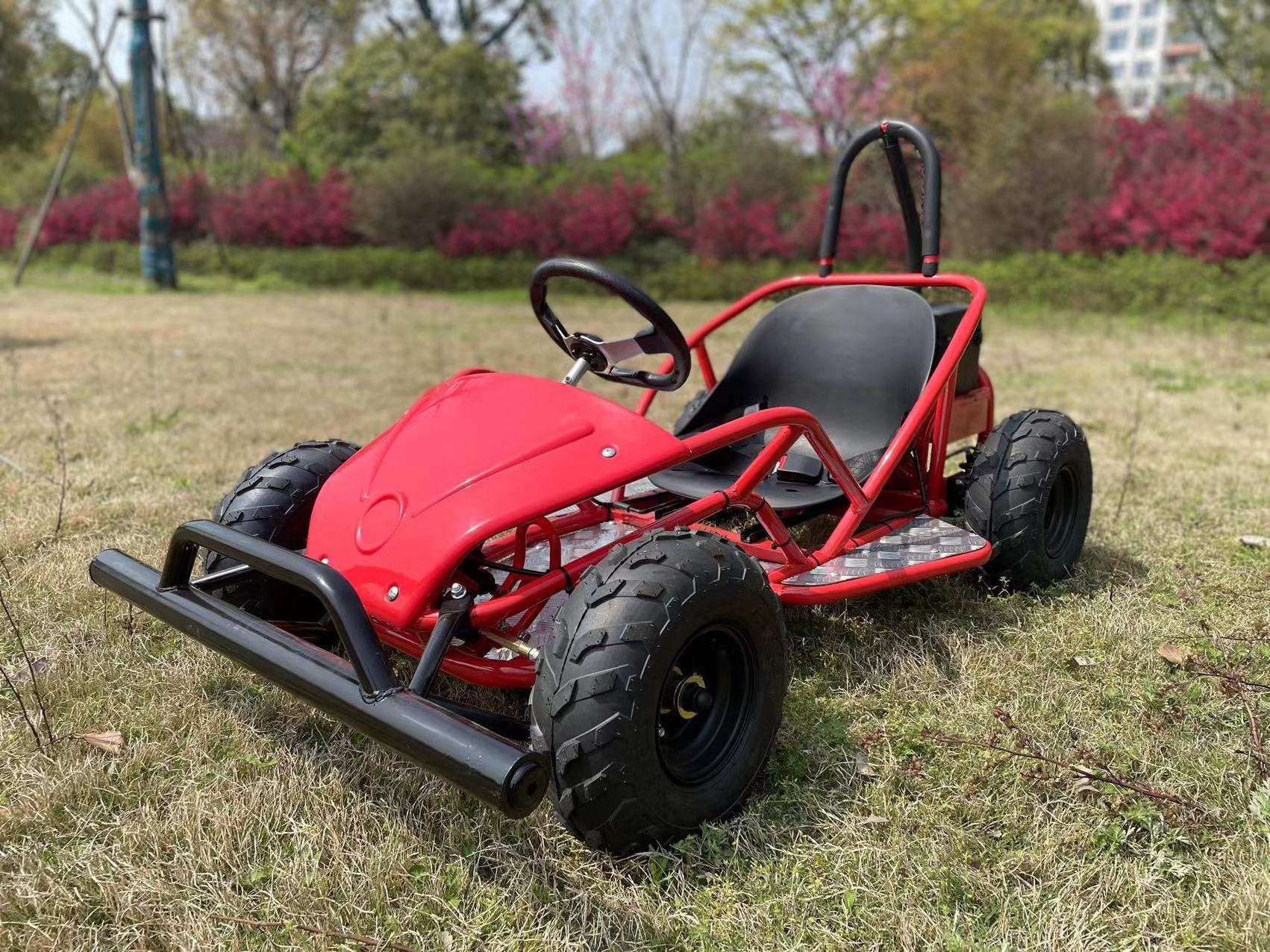 Buy Street Legal Buggy 1000w Electric Buggy  Go Kart