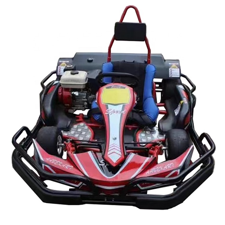 Adult Go-Kart Racing Petrol Go Karts 270Cc Go Karting Petrol