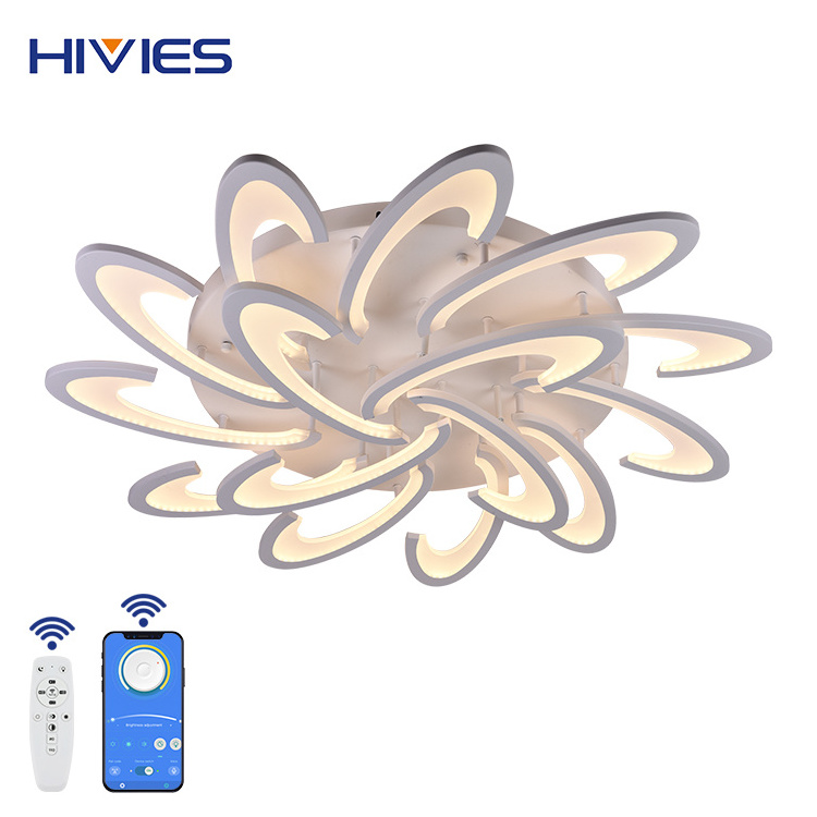 Energy Saving Dimmable Surface Mounted Modern Style Acrylic Fancy Led Ceiling Fixture Hotel Lobby Living Room Led Ceiling Lights