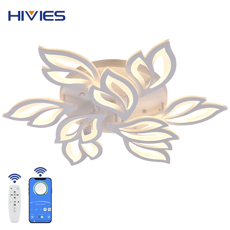 High Lumen Surface Mounted Acrylic Fancy Luxury Modern Living Room Hotel Indoor Decorative Remote Control Led Ceiling Lights