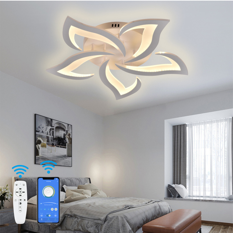 HIVIES Hot Sales Modern Remote Control Decor White Fixtures Living Room Indoor LED Fancy Iron Ceiling Lights