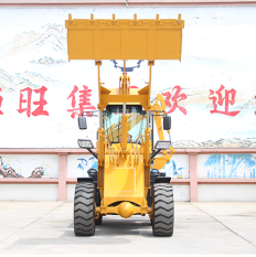 china hengwang group  2.5ton compact tractor backhoe loader TLB for sale