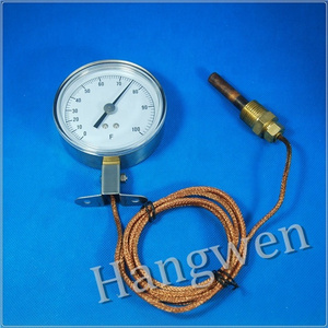 Remote display Thermometer