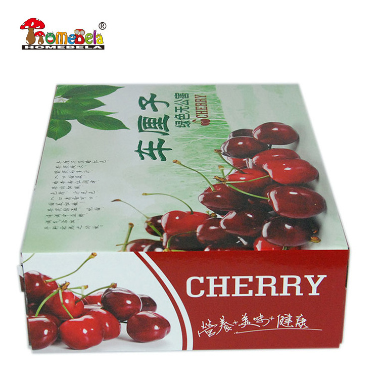 ECO-friendly mango blueberry fruit carton packing boxes with handle